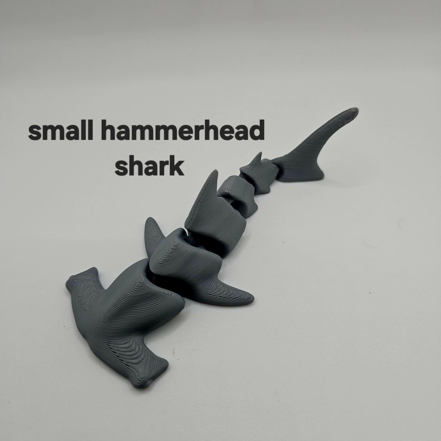MARINE LIFE "HAMMERHEAD SHARKS"