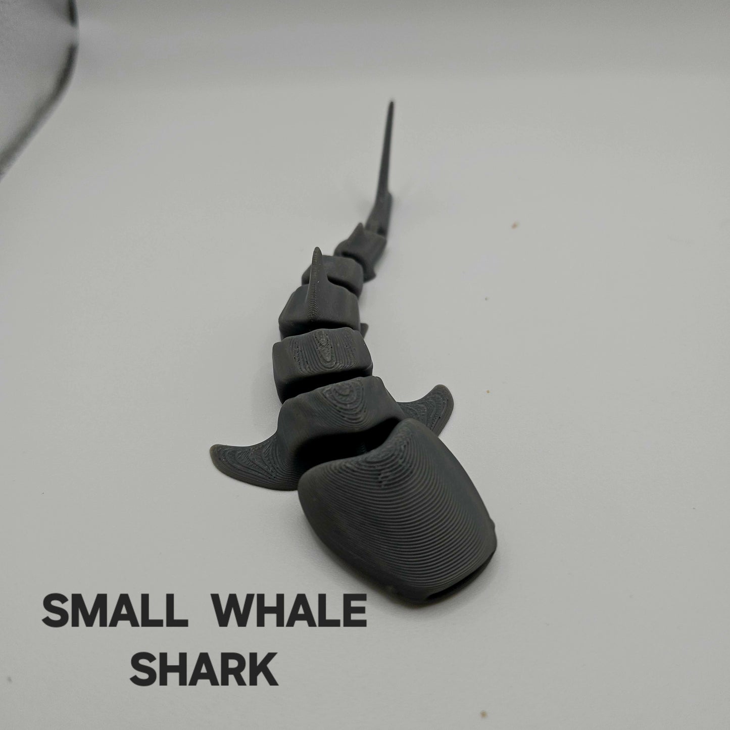 Marine Life "WHALE SHARKS"