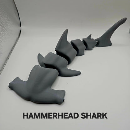 MARINE LIFE "HAMMERHEAD SHARKS"
