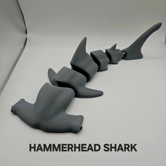 MARINE LIFE "HAMMERHEAD SHARKS"